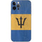 Barbados Flag Distressed iPhone 12 Pro Skin