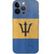 Barbados Flag Distressed iPhone 14 Pro Skin