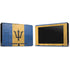Barbados Flag Distressed Nintendo Switch Bundle Skin