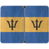 Barbados Flag Distressed Surface Duo Skin