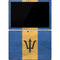 Barbados Flag Distressed Surface Pro 7 Skin