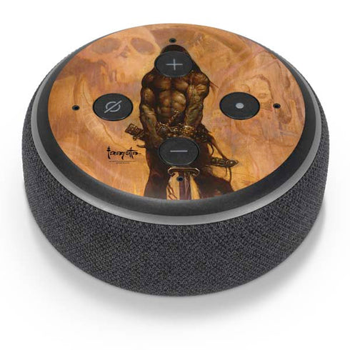 Frazetta Barbarian Amazon Echo Dot Skin