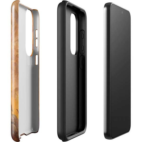 Frazetta Barbarian Galaxy S23 Plus Pro Case