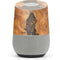 Frazetta Barbarian Google Home Skin
