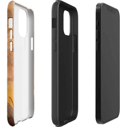 Frazetta Barbarian iPhone 12 Mini Impact Case