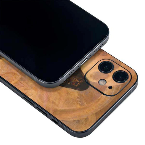 Frazetta Barbarian iPhone 12 Mini Skin