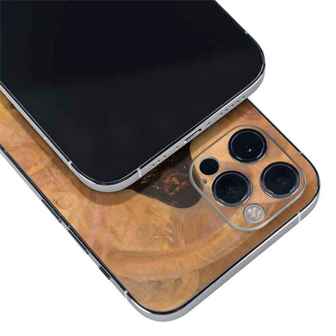 Frazetta Barbarian iPhone 12 Pro Max Skin