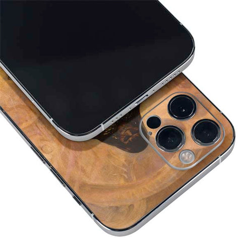 Frazetta Barbarian iPhone 12 Pro Skin