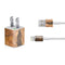 Frazetta Barbarian iPhone Charger (5W USB) Skin