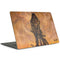 Frazetta Barbarian Apple MacBook Pro 15-inch Skin
