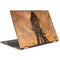Frazetta Barbarian HP Spectre Skin