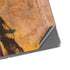 Frazetta Barbarian Surface Pro 8 Skin