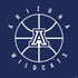 University of Arizona Basketball Mark Blue PS4 Slim Skin