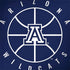 University of Arizona Basketball Mark Blue HP Spectre Skin