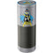 DC Comics Batgirl Classic Art Pose Amazon Echo Skin