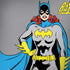 DC Comics Batgirl Classic Art Pose Surface Book 2 15in Skin