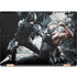 The Dark Knight Rises Batman and Bane Fighting HP Spectre Skin