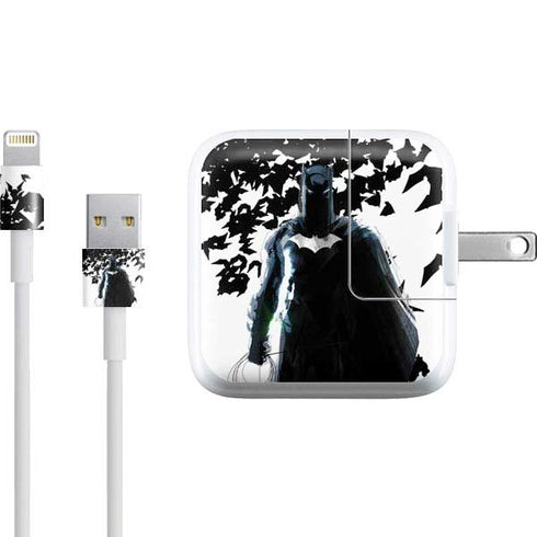 DC Comics Batman Holding batarang Art iPad Charger (10W USB) Skin