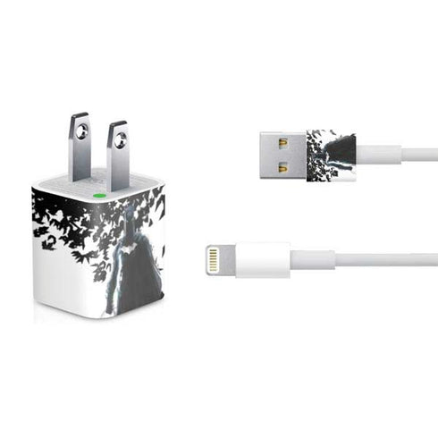 DC Comics Batman Holding batarang Art iPhone Charger (5W USB) Skin