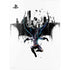 DC Comics Batman Black Mirror Cover #3 PS5 Bundle Skin