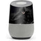 DC Comics Batman The Dark Knight Action pose Google Home Skin