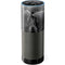 The Justice League (2017) Batman Poster Amazon Echo Skin