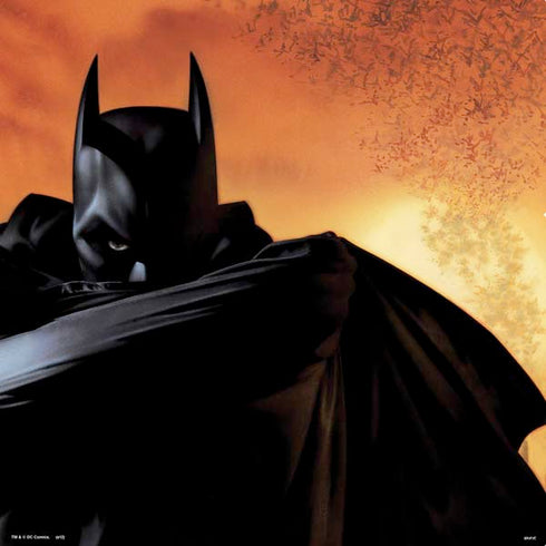 DC Comics Batman Begins Art PS4 Console Skin