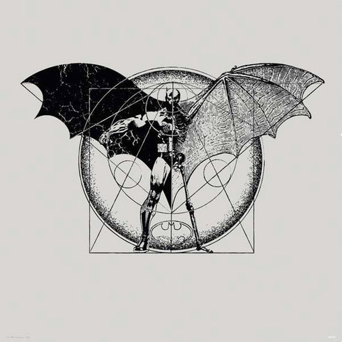 DC Comics Batman Skeleton diagram Art PS4 Console and Controller Bundle Skin