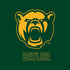 Baylor University Mascot Moto E5 Play Skin