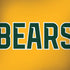 Baylor University Bears Dell Alienware Skin