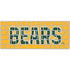 Baylor University Bears Magic Keyboard Skin