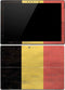 Belgium Flag Distressed Surface Pro 4 Skin