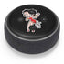 Betty Boop With Puppy Amazon Echo Dot Skin
