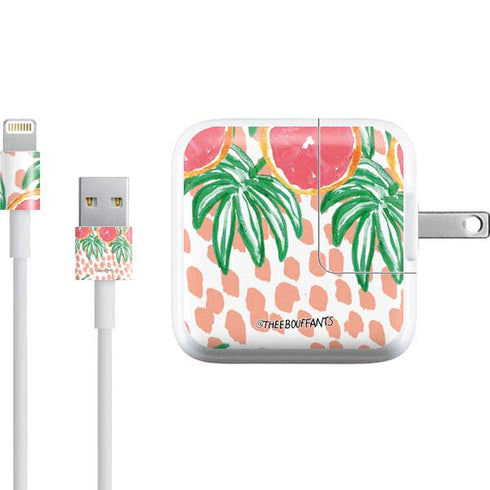 Bouffants and Broken Hearts Graphic Grapefruit iPad Charger (10W USB) Skin