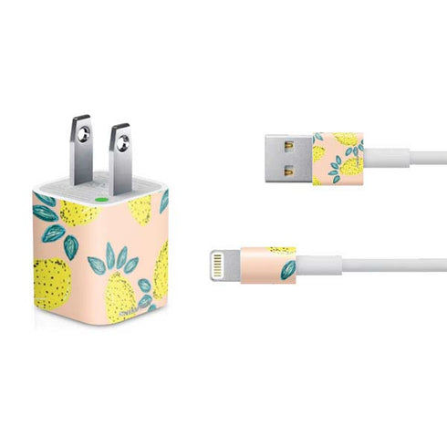Bouffants and Broken Hearts Lemon Party iPhone Charger (5W USB) Skin
