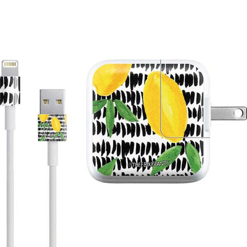 Bouffants and Broken Hearts Lemons 2 iPad Charger (10W USB) Skin