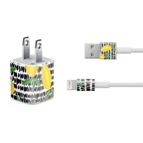 Bouffants and Broken Hearts Lemons 2 iPhone Charger (5W USB) Skin