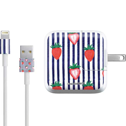 Bouffants and Broken Hearts Strawberries and Stripes iPad Charger (10W USB) Skin