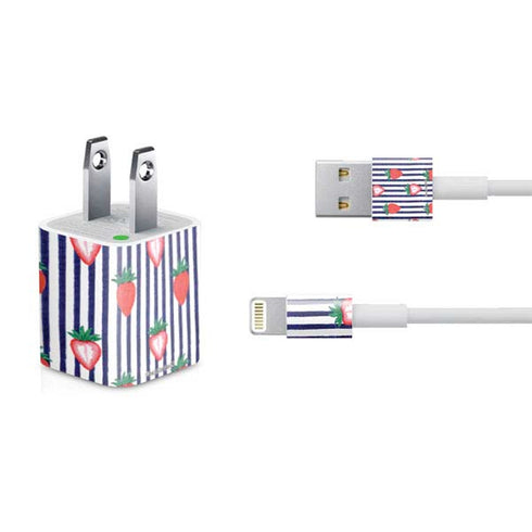Bouffants and Broken Hearts Strawberries and Stripes iPhone Charger (5W USB) Skin