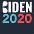 Biden 2020 PS4 Slim Skin