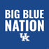 University of Kentucky Big Blue Nation PS4 Slim Skin