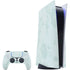 Bird Floral PS5 Bundle Skin