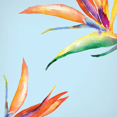 Birds of Paradise Summer iPhone XR Skin