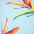 Birds of Paradise Summer iPhone XR Skin