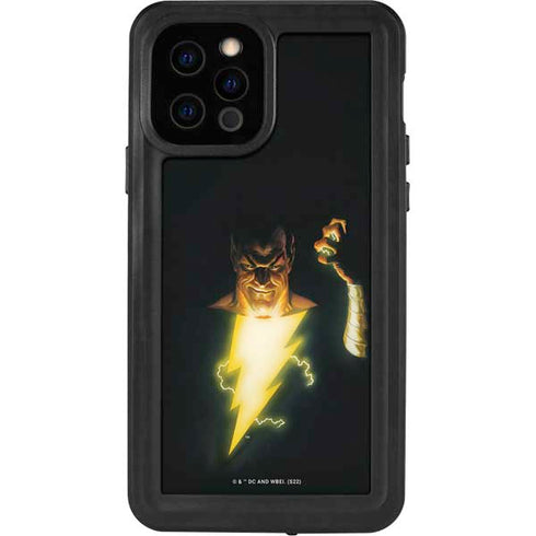 DC Comics Justice Society of America #23 Cover Painting Black Adam Original Art by Alex Ross iPhone 12 Pro Waterproof Case