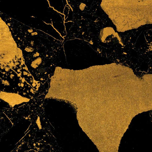 Black and Gold Scattered Marble Moto E5 Play Skin