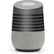 Black and Grey Stripes Google Home Skin