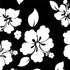 Black and White Nintendo 2DS XL (2017) Skin