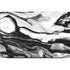 Black and White Marble Ink Dell Vostro Skin