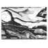 Black and White Marble Ink HP Envy Skin